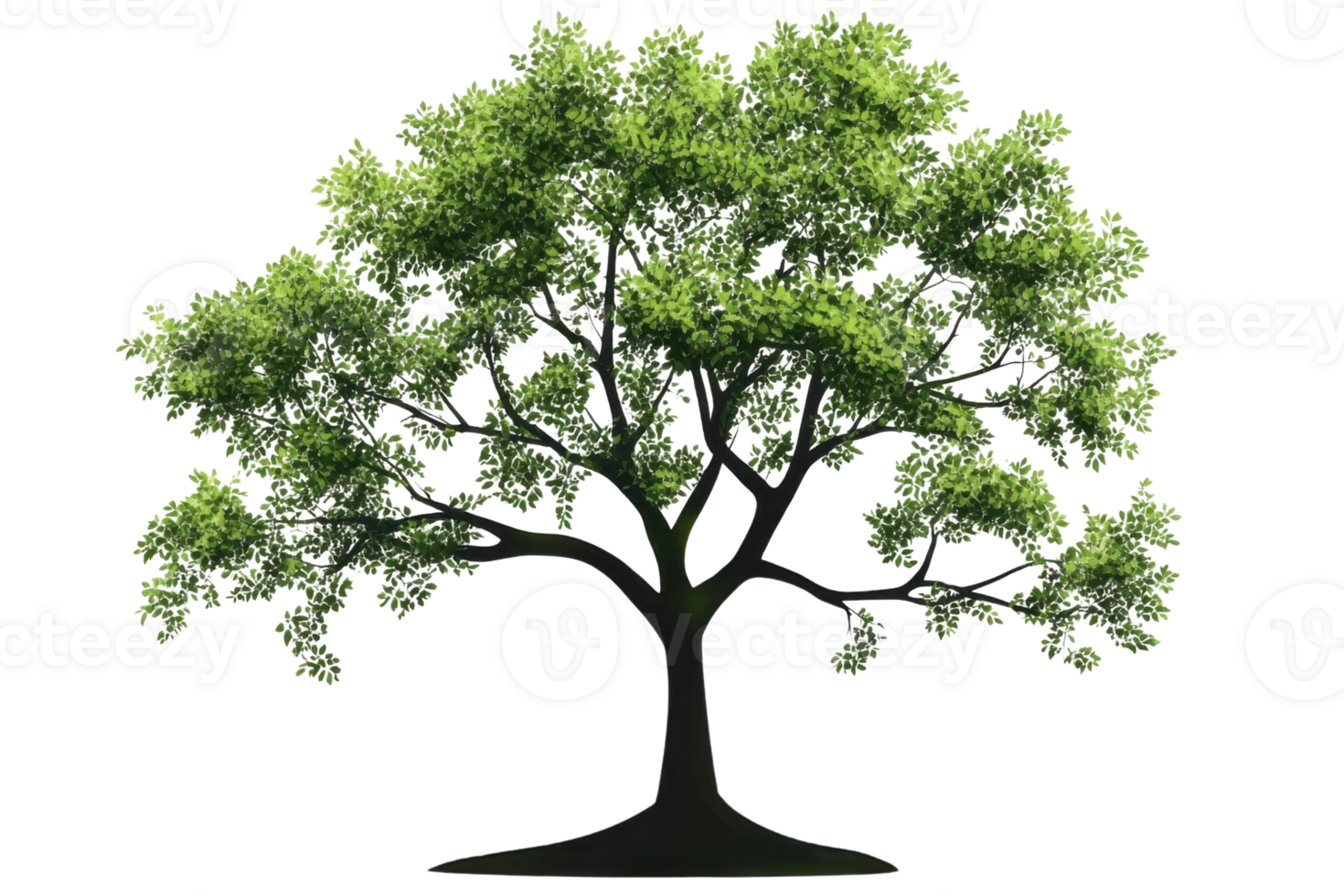 green tree illustration on transparent background png