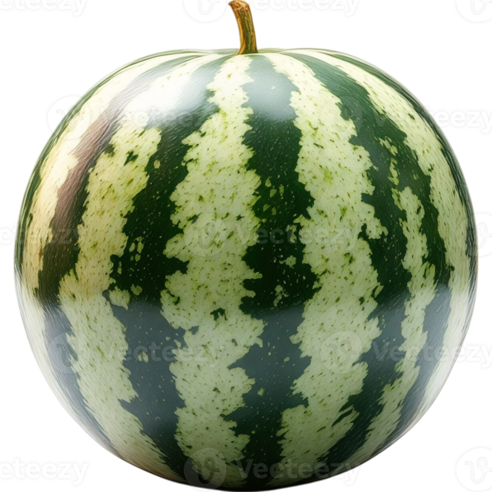 Watermelon with Dark Green Rind png