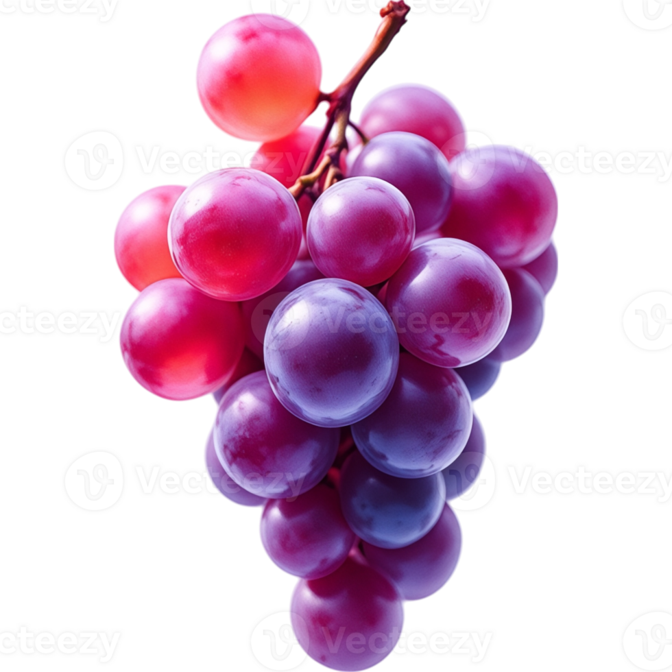 Bunch of Purple Grapes on the Vine png