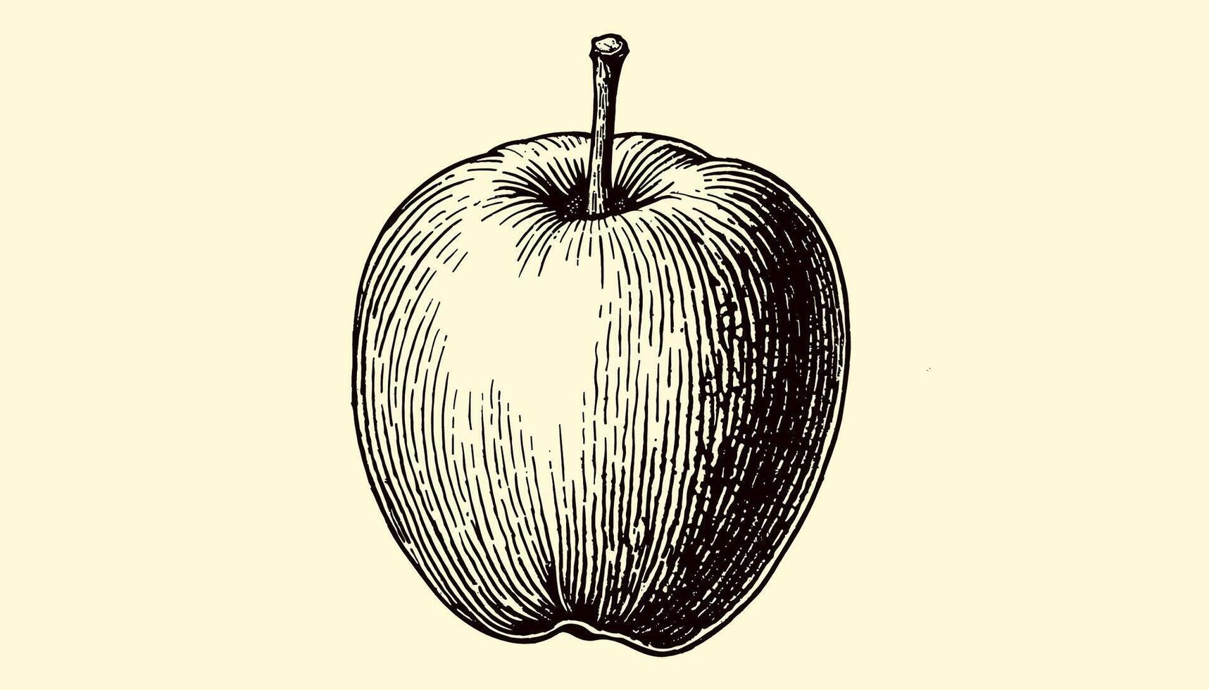 Classic apple engraving in vintage black and white artistic design vector