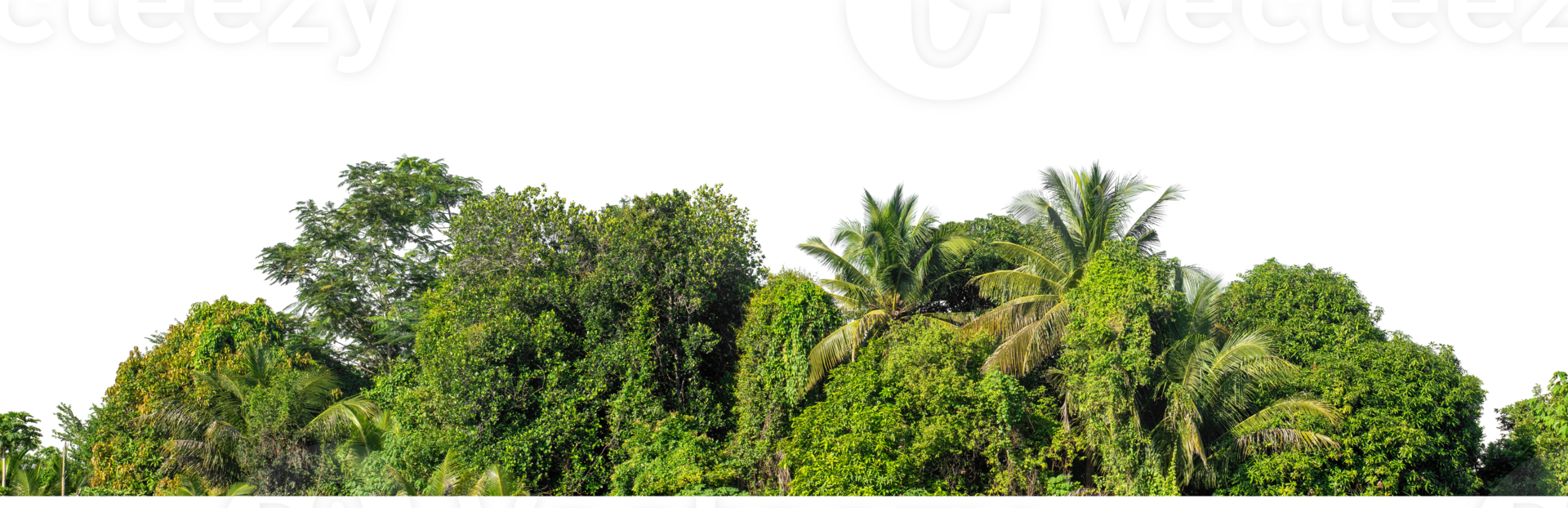 with clipping path and alpha channel, high resolution png