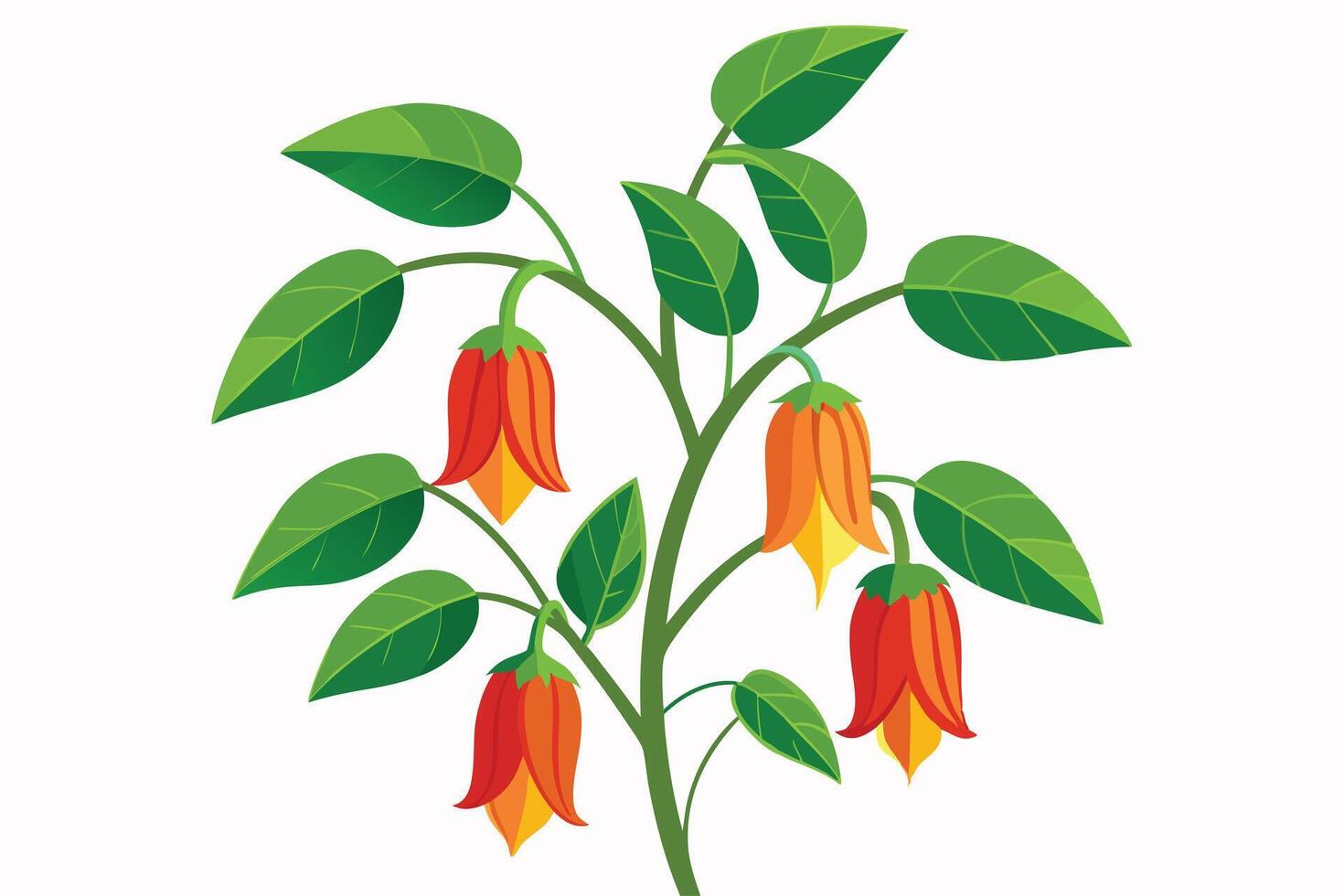 illustration with orange flower branches isolated vector