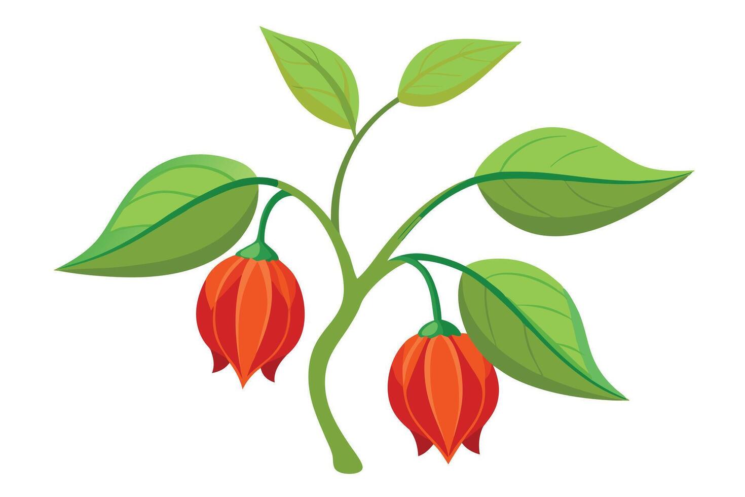 illustration with orange flower branches vector