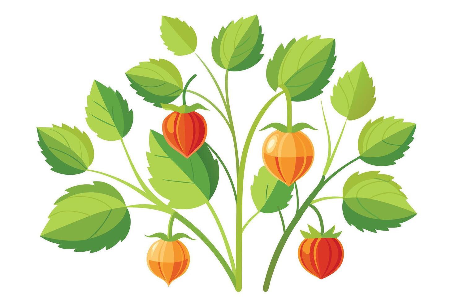 illustration with orange flower branches isolated on white background vector