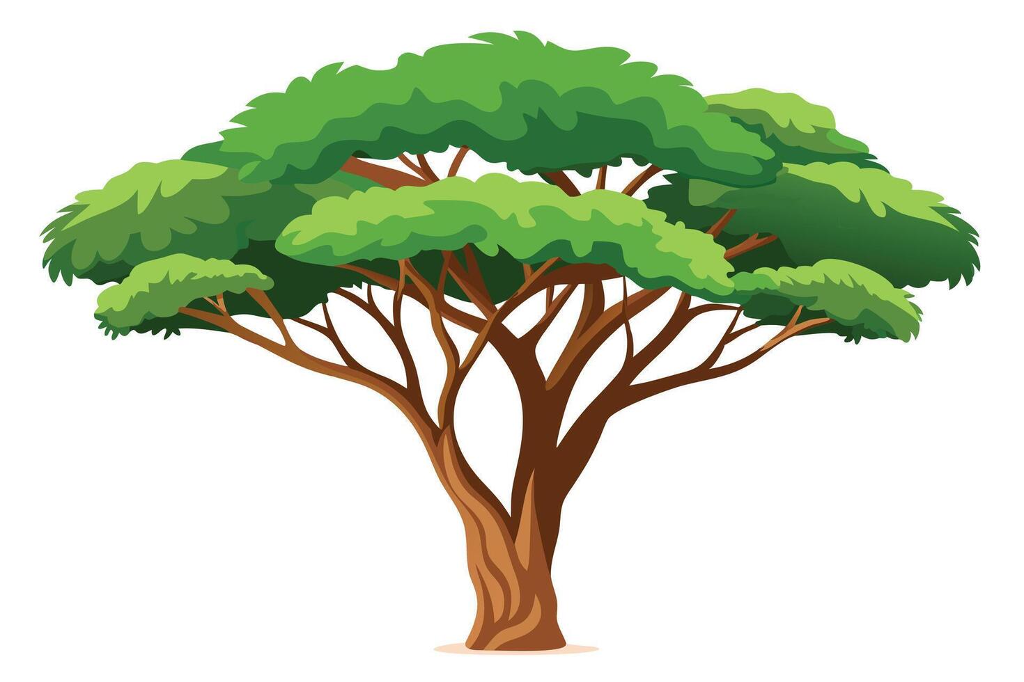 Baobab tree flat illustration on white background vector