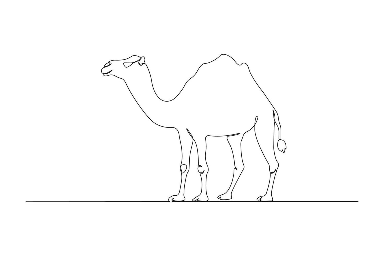 Hand-drawn camel line art drawing. Camel outline illustration. vector