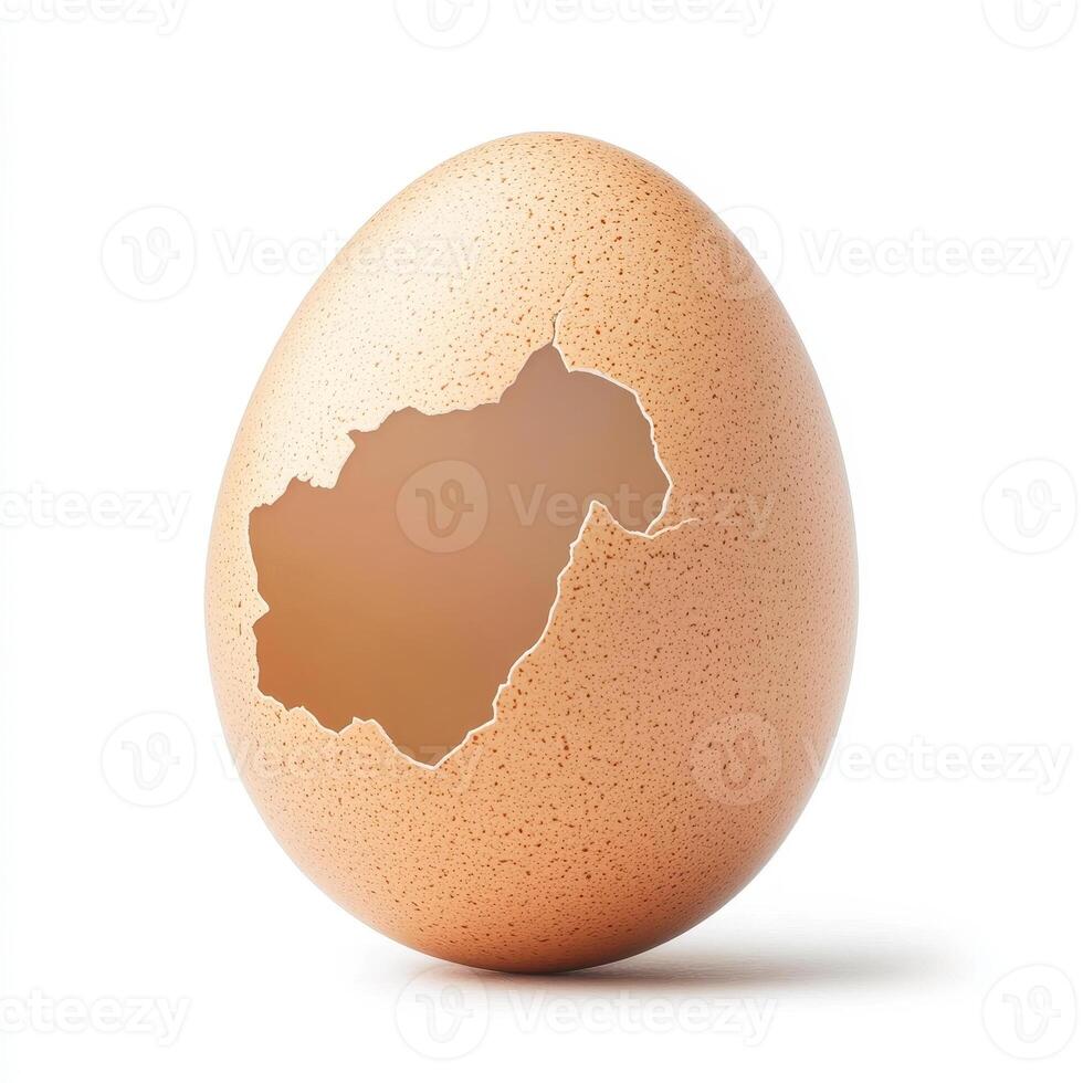 realistic egg shell with broken section revealing smooth surface inside, showcasing natural textures and colors photo