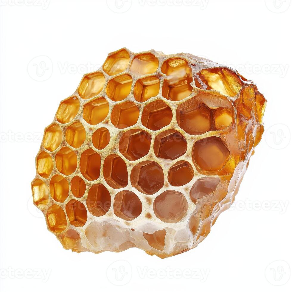 Honeycomb segment with intricate hexagonal patterns and golden hues photo