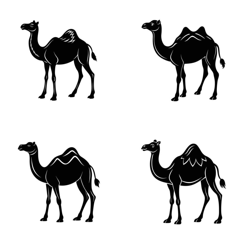 four silhouettes of camels on a white background vector