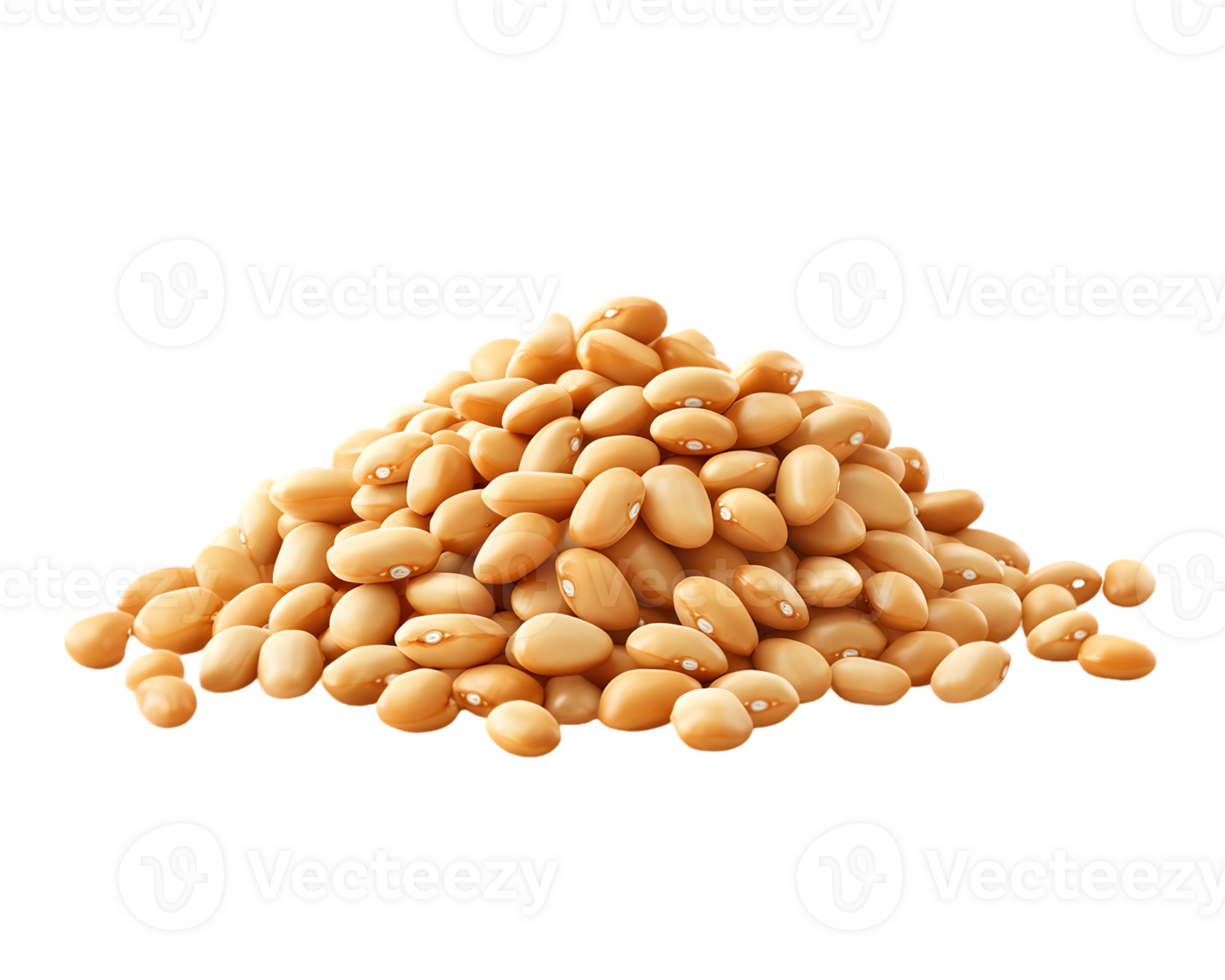 Pile of Light Beige Beans png