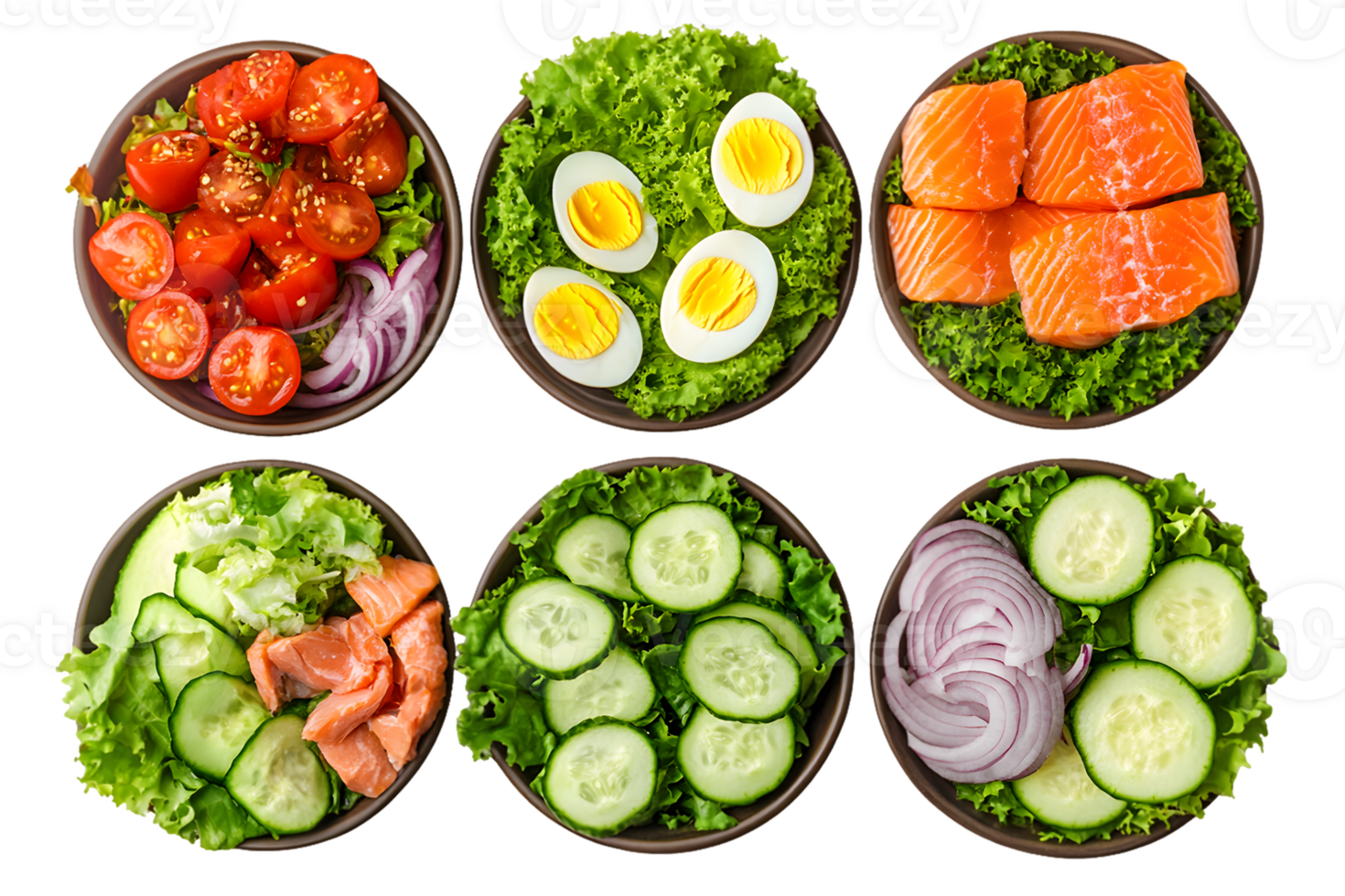 Six Salad Component Bowls Tomatoes, Eggs, Salmon, Cucumbers, and Onions png
