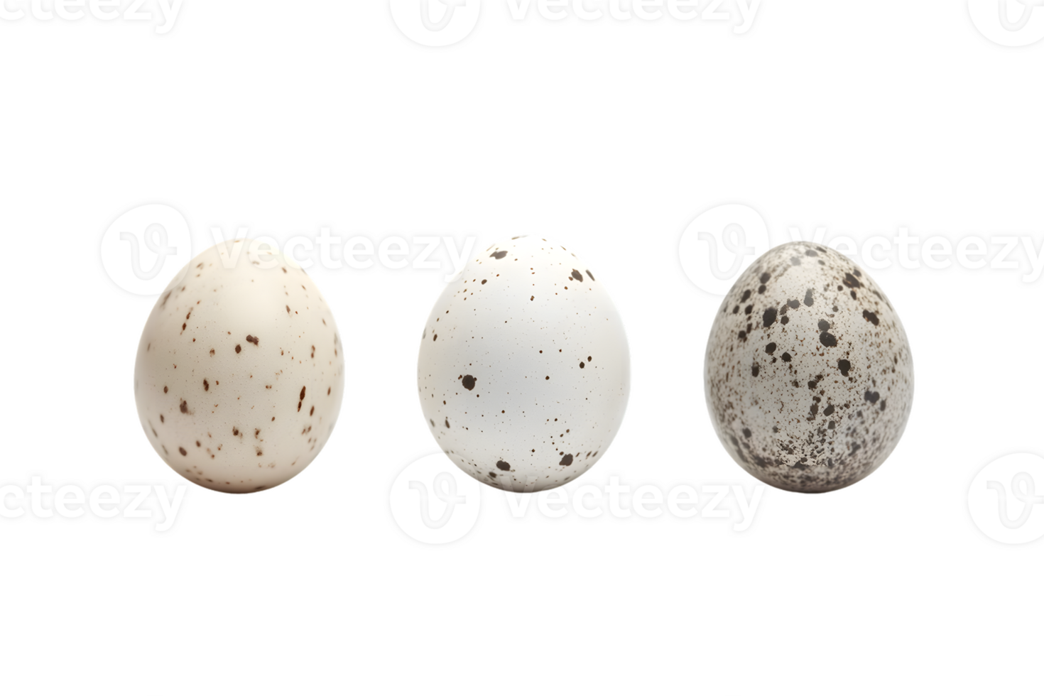 Three Bird Eggs with Varying Speckulation png