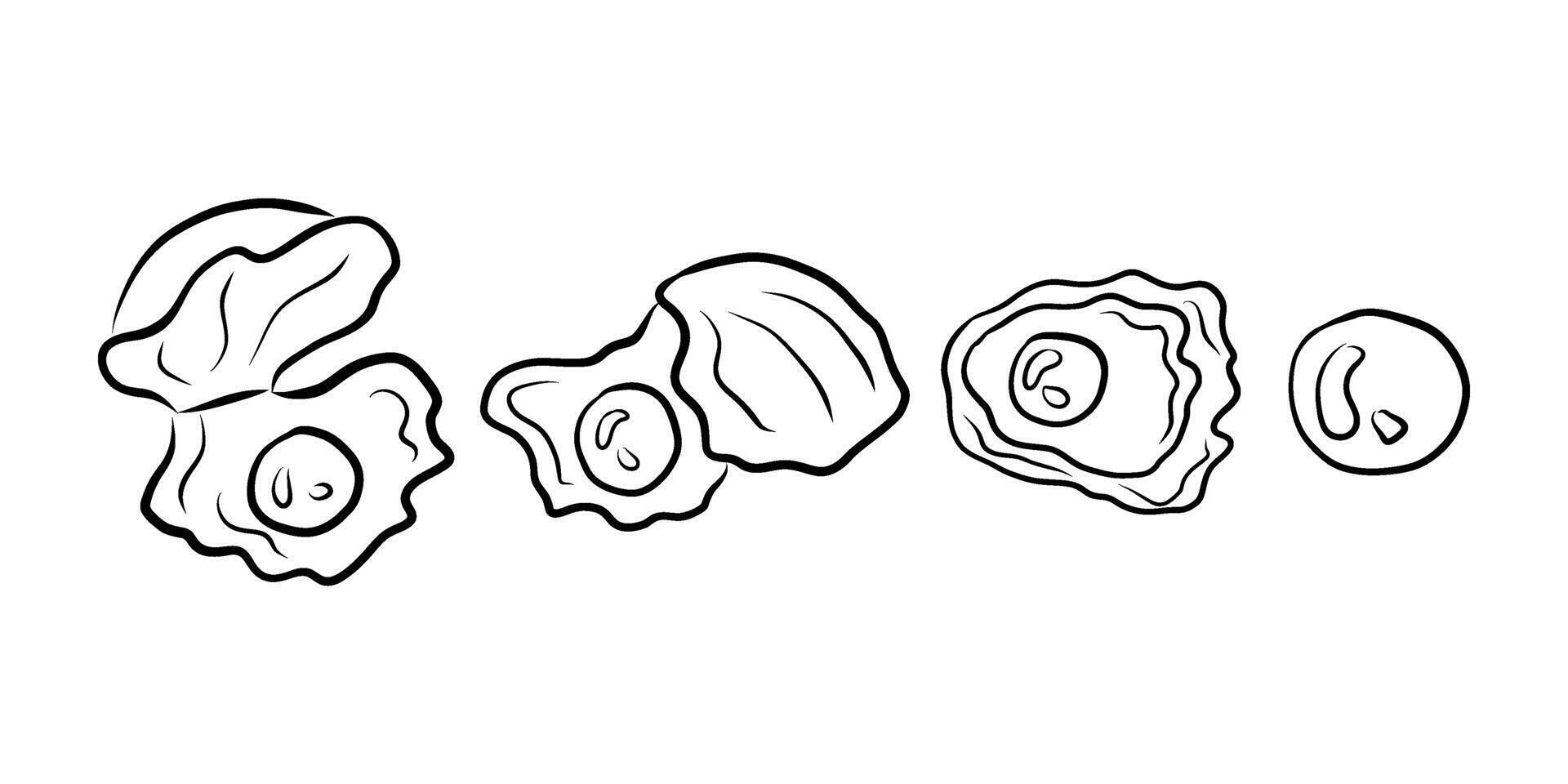 Hand drawn seashells with pearls set, whimsical set, doodles, Underwater pearls in shell vector