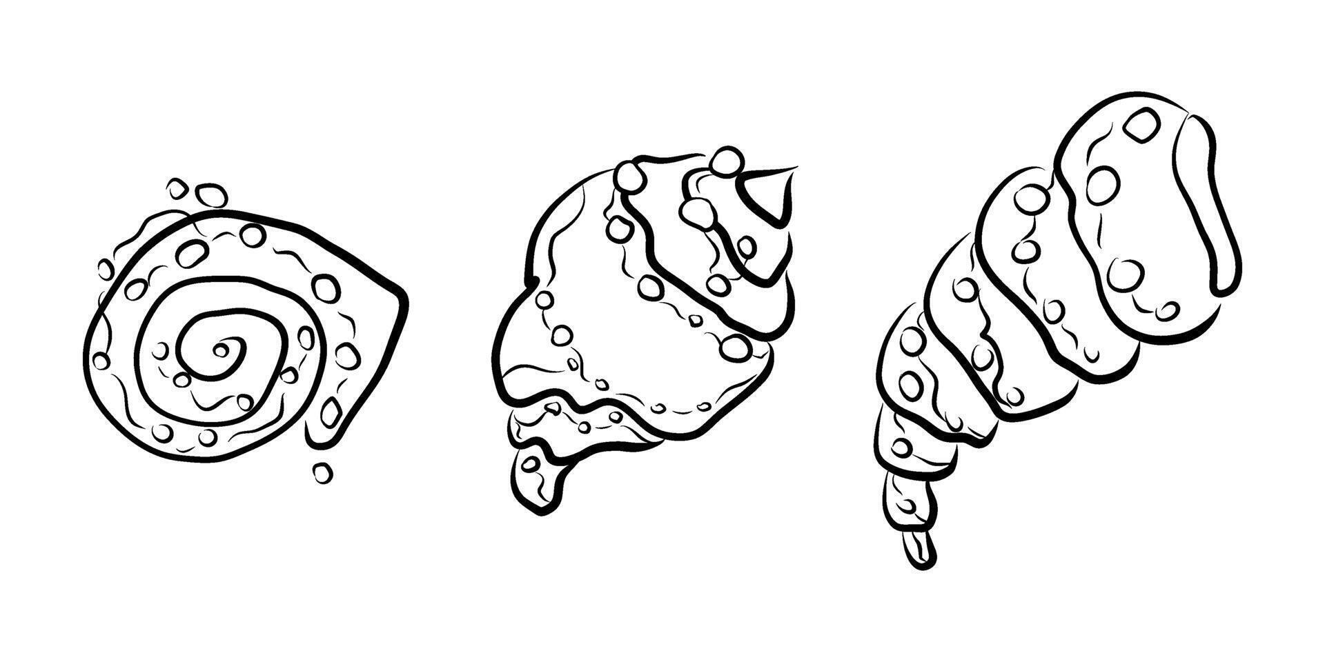 Hand drawn set of shells with pearls, whimsical set of shells with pearls, doodles, white and black vector