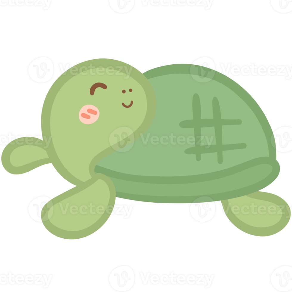 Cute green turtle png