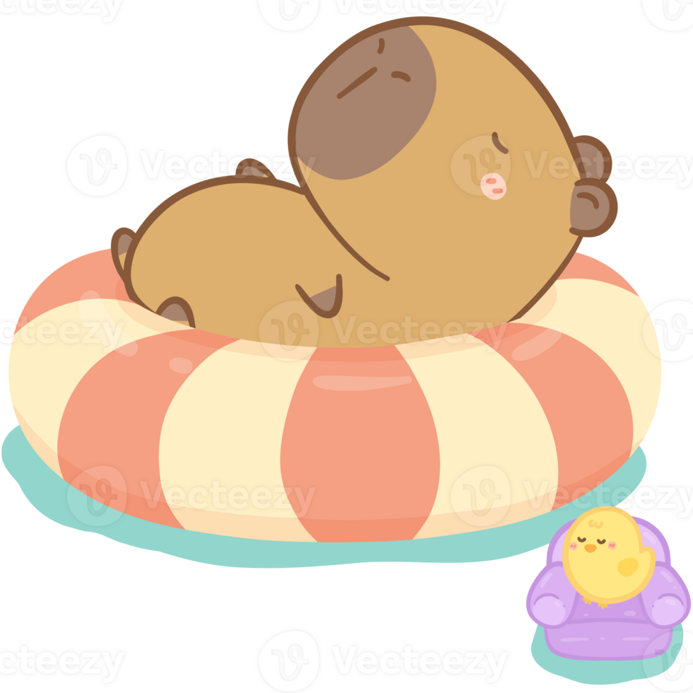 Sleeping Capybara with pool float png
