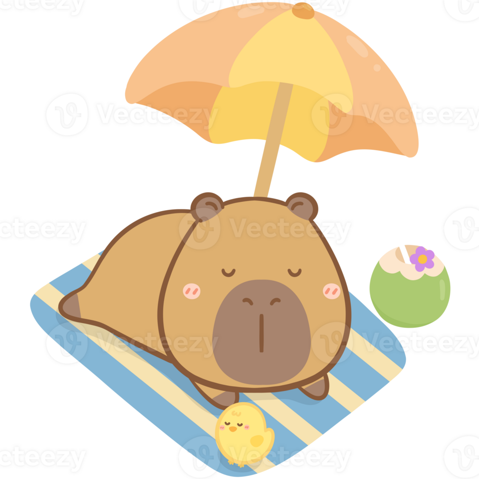 Sleeping Capybara on the beach png
