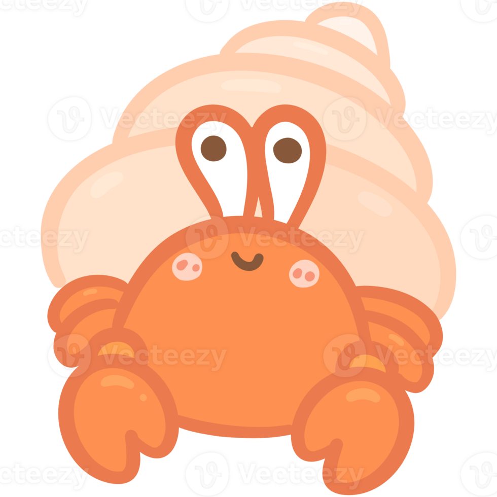Orange hermit crab png