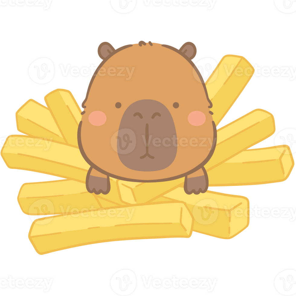 Capybara French fries png