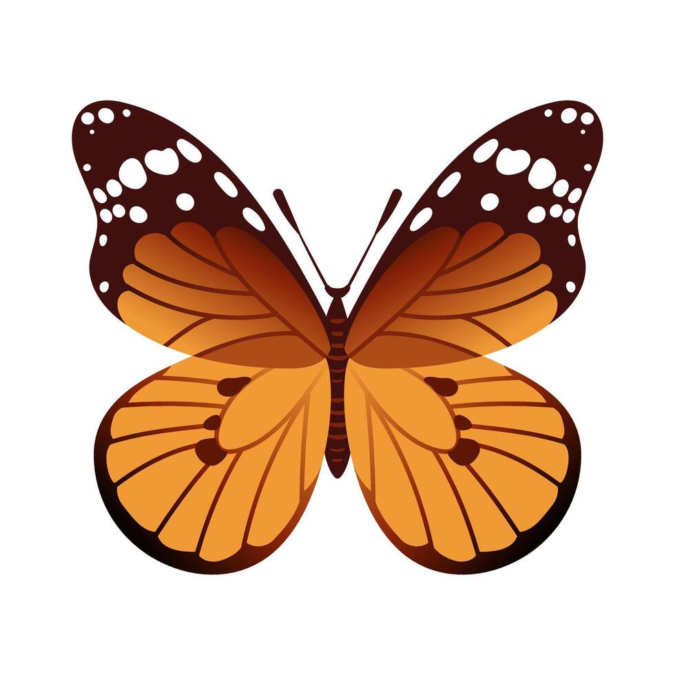 Monarch butterfly, Danaus plexippus, features vibrant. Known for its impressive migrations, this iconic insect symbolizes transformation and beauty in nature. vector
