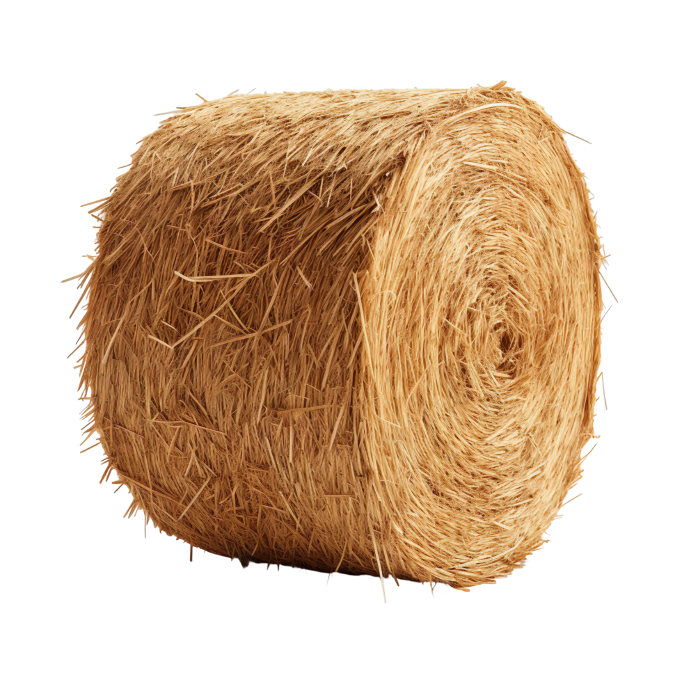 Cylinder Round Hay Bale isolated on transparent background png