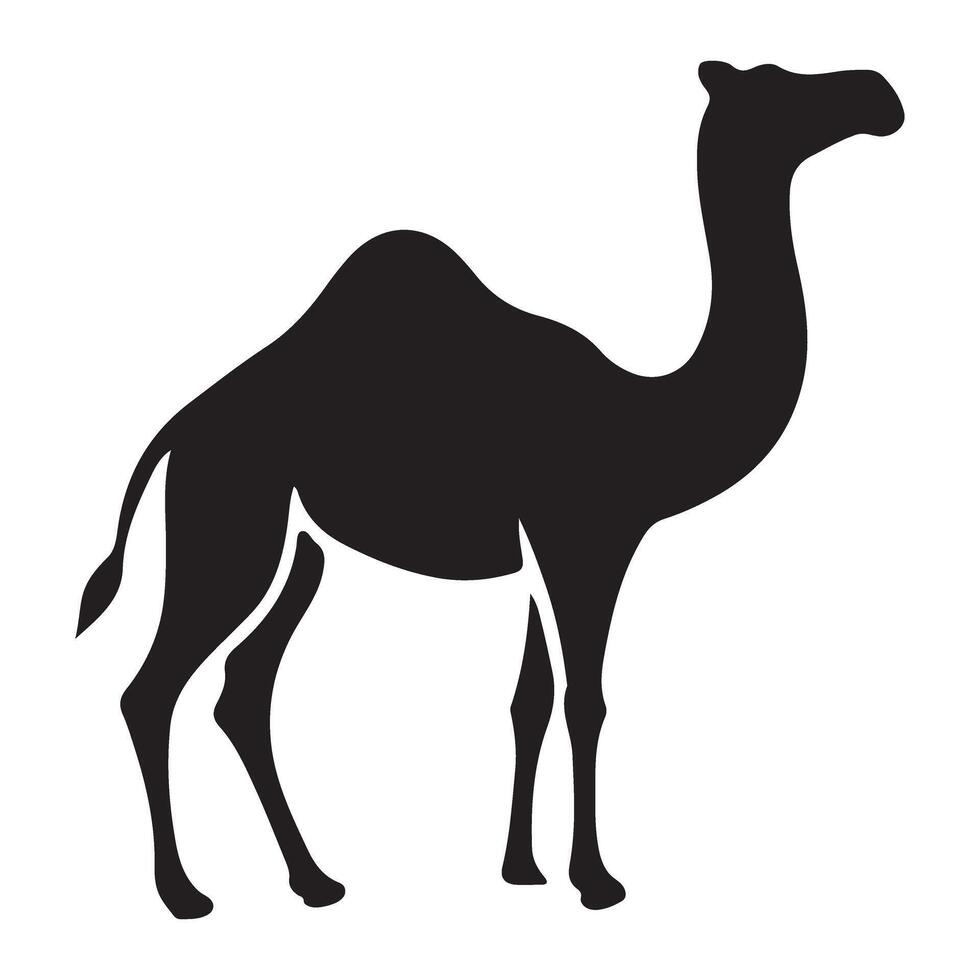 Magnificent Silhouette of a Dromedary Camel vector