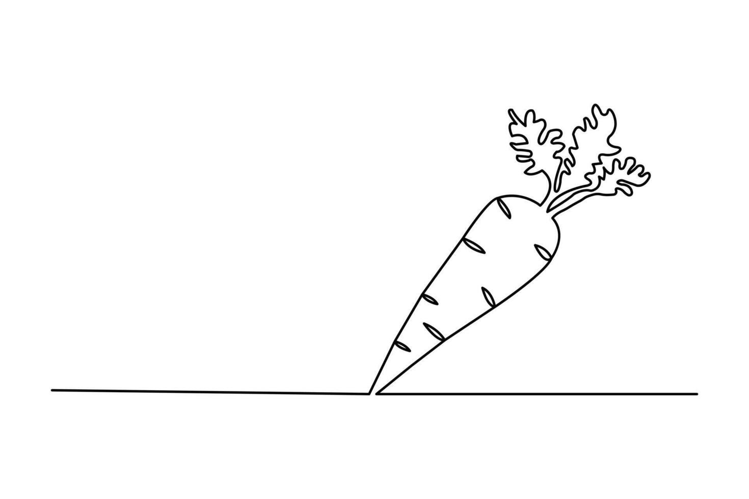 Carrot continuous single line drawing of isolated outline art illustration vector