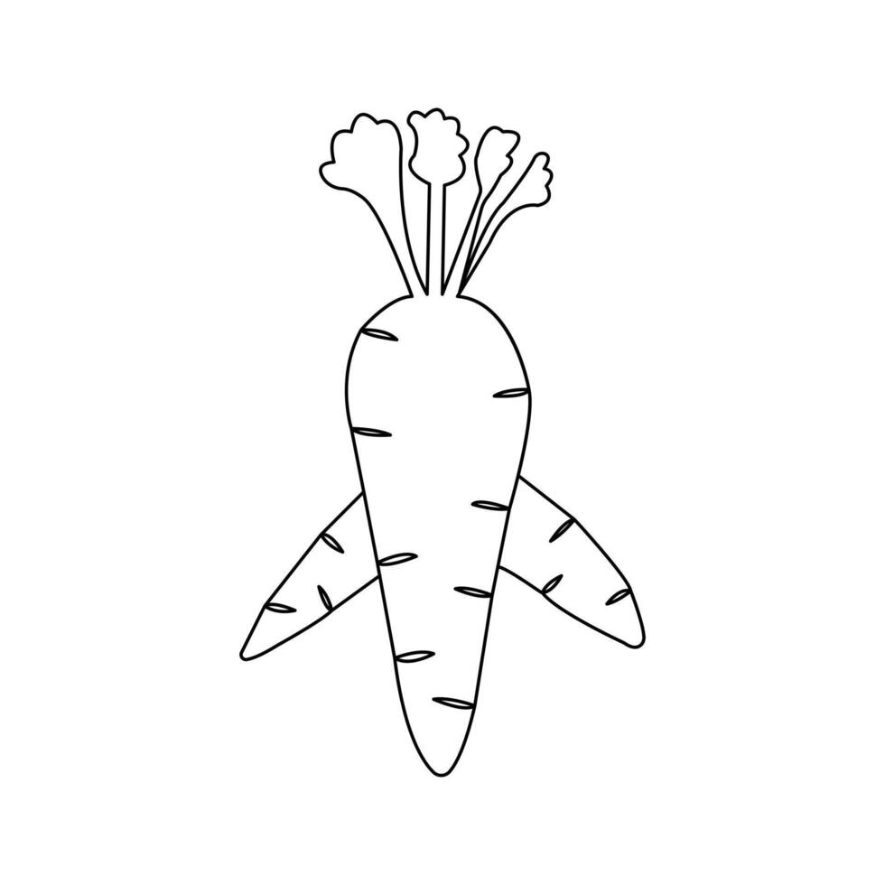 Carrot with leaves minimalist on white background vector