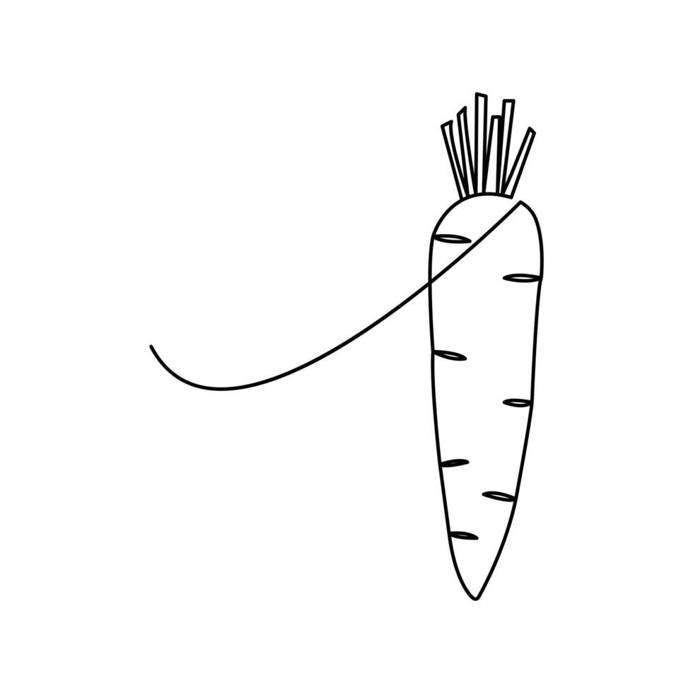 Carrot vegetable continuous single line drawing of isolated outline art design vector