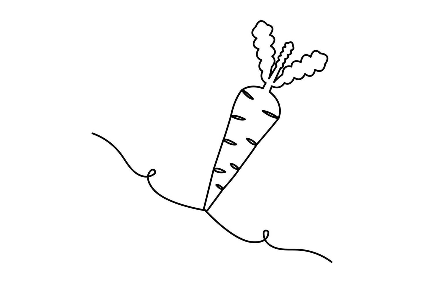 Simple carrot vegetable continuous single line drawing of carrot plant minimalist outline design vector