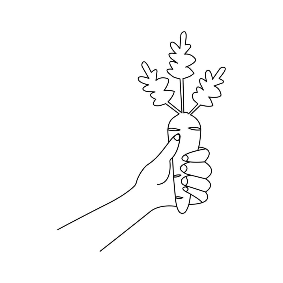 Carrot vegetable continuous one line drawing of isolated outline art icon vector