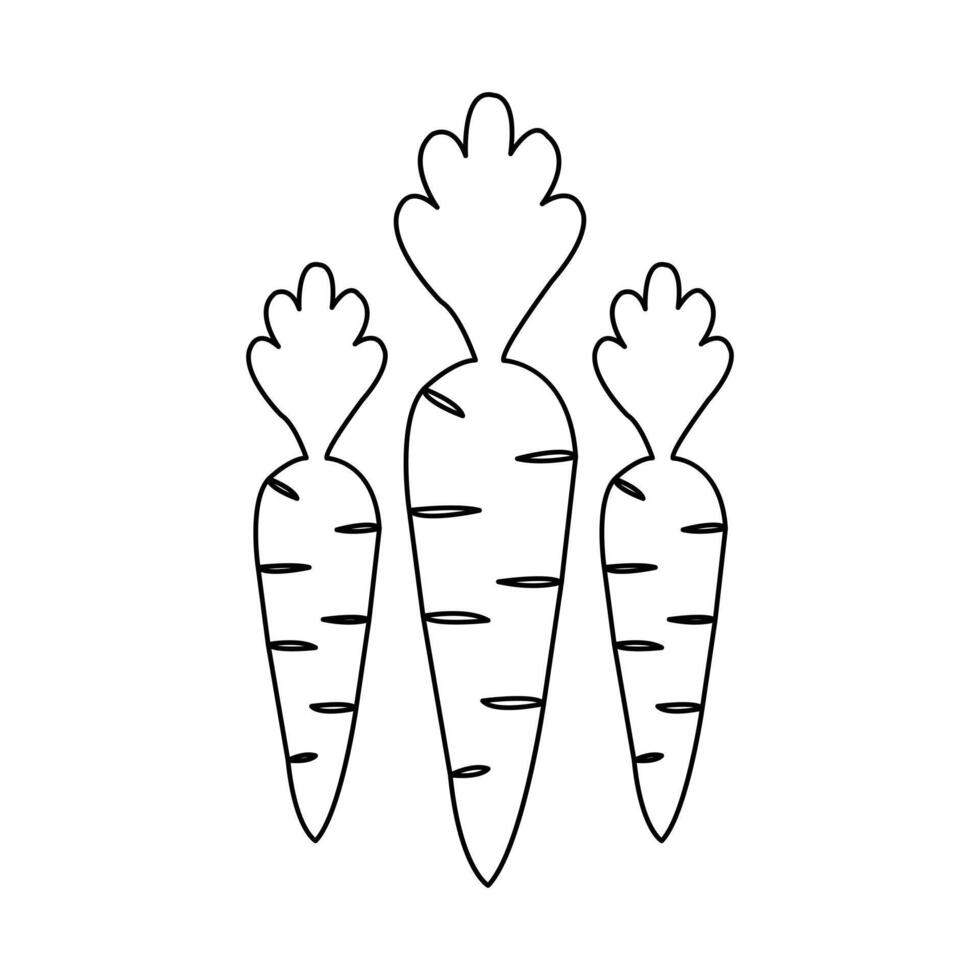 Continuous single line drawing of carrot abstract outline art design vector