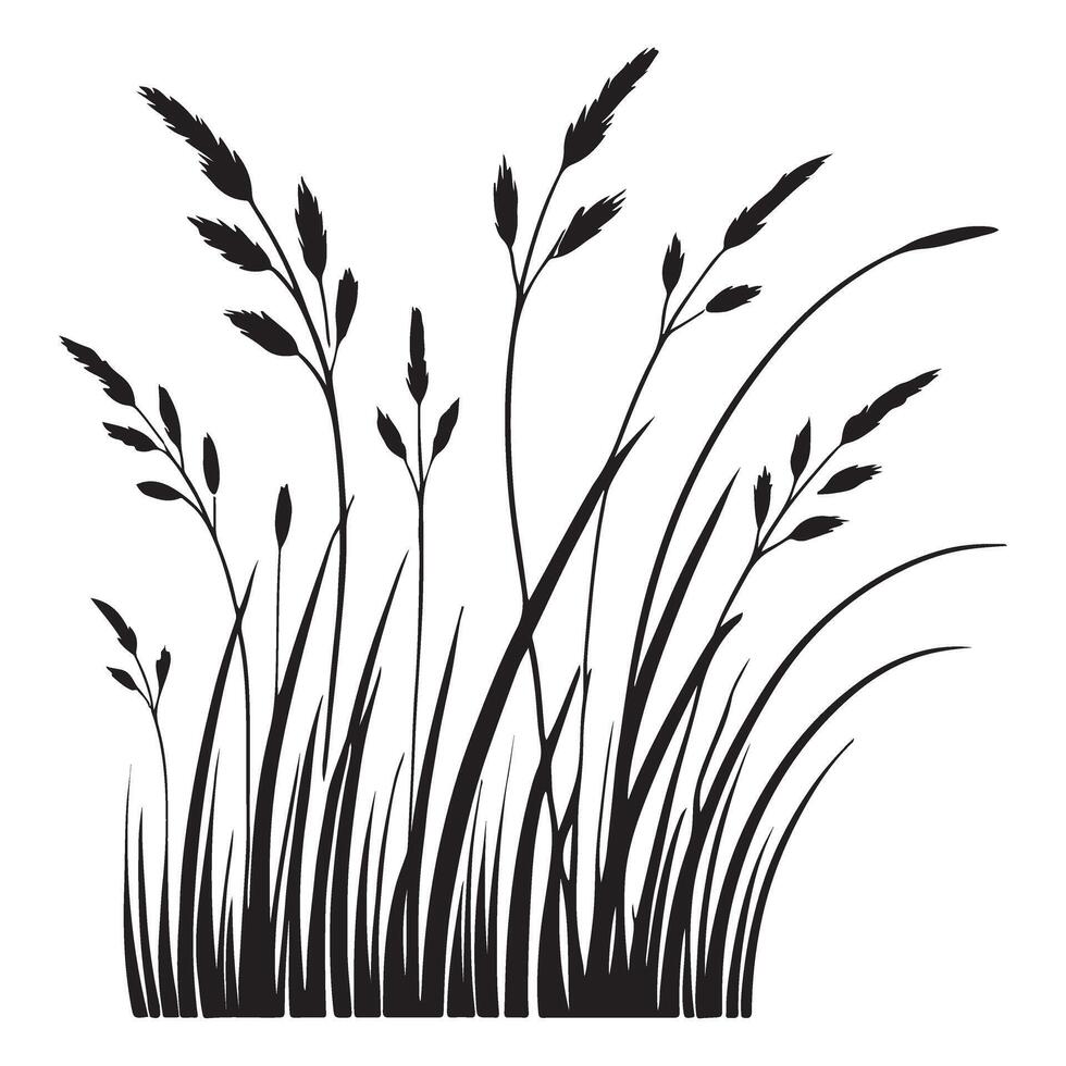 Silhouette Illustration of Tall Grass for Nature and Landscape Designs vector