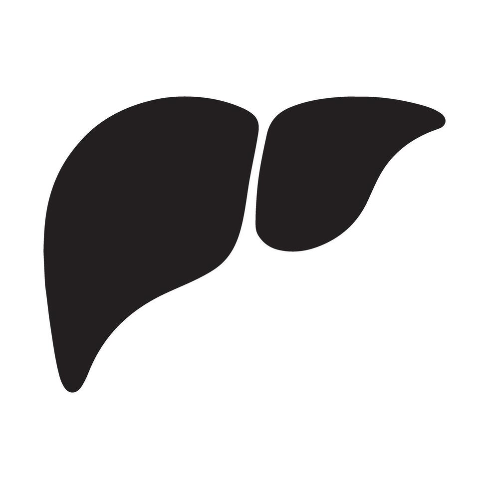Human Liver Silhouette Illustration for Medical Graphics vector