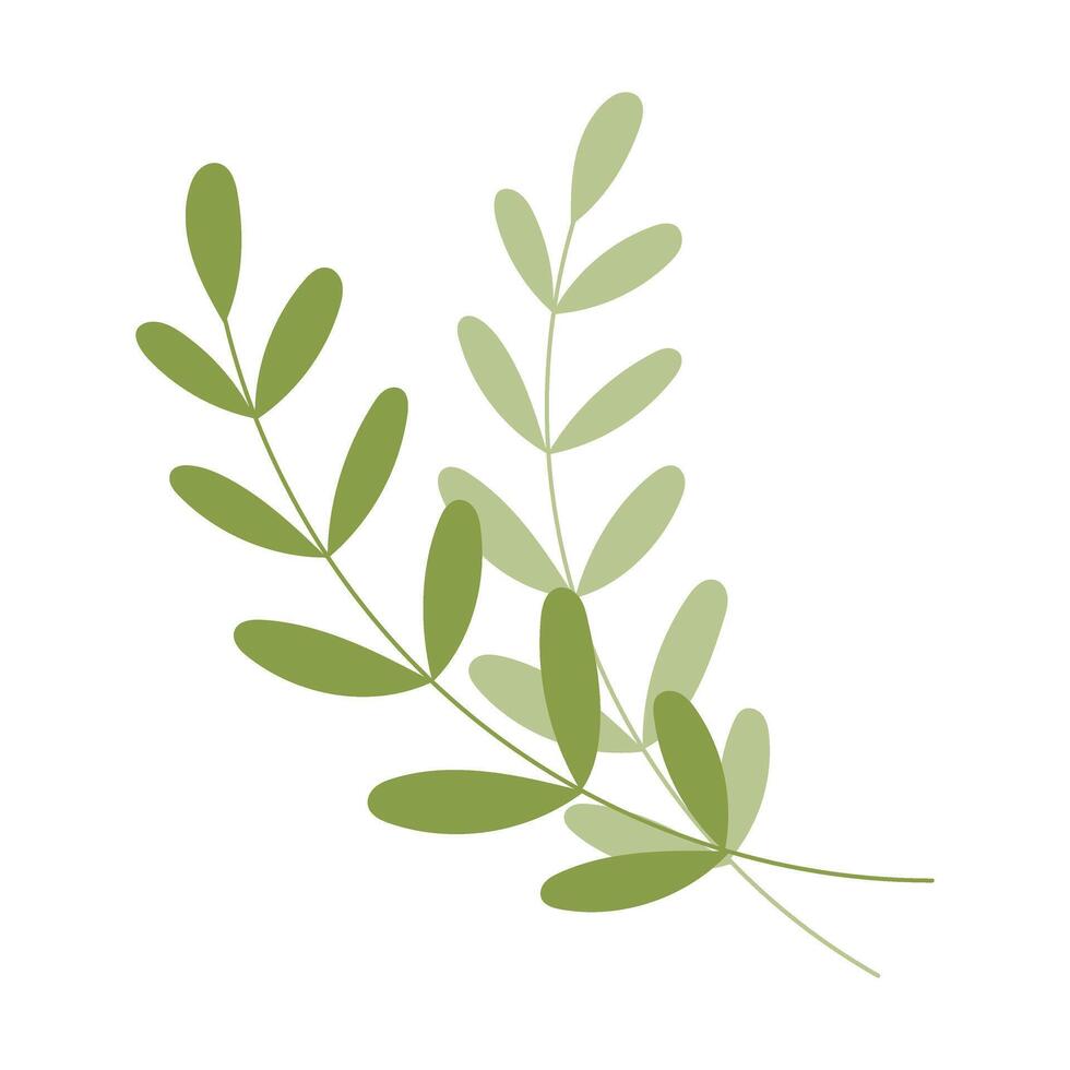 A leafy green plant with a stem and a leaf. The leaf is green and has a pointed tip vector