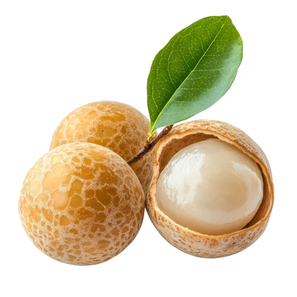 Fresh and ripe longan fruit with a green leaf against a transparent background showcasing its natural texture, ripe longan on transparent background png