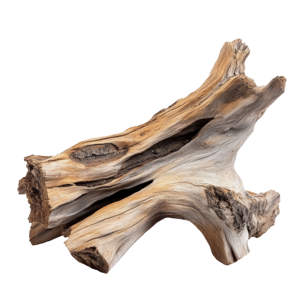 Dry wood piece isolated on a transparent background showcasing unique texture and natural shape from a tree, Dry wood isolated on transparent background. Tree wood transparent background png