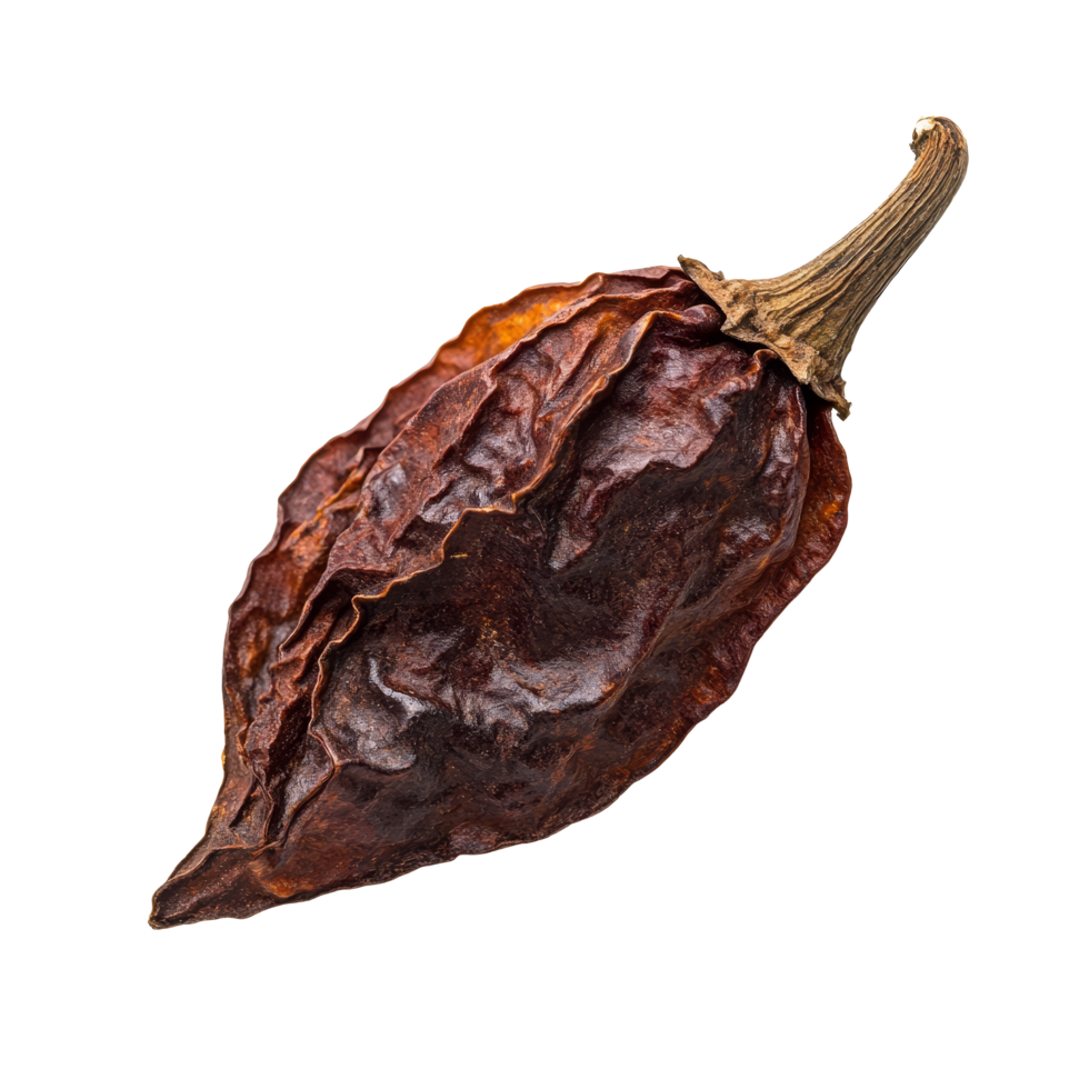 Dried puya pepper displayed on a transparent background highlighting its rich color and unique texture, dried puya pepper isolated on transparent background png