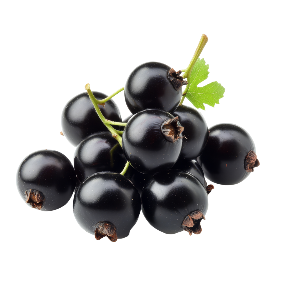 Fresh black currant fruits arranged beautifully on a transparent background, showcasing their rich color and natural shine, Fresh black currant fruit on a transparent background png