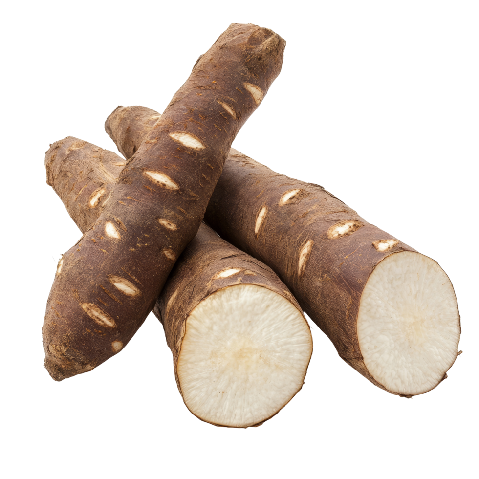Cassava roots on a clean transparent background showcasing their texture and color for culinary and nutritional purposes, Cassava isolated on transparent background png