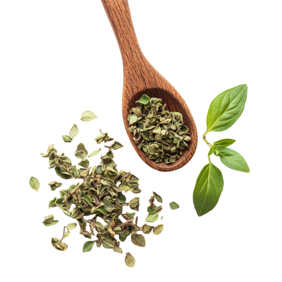 Freshly harvested oregano leaves placed in a wooden spoon against a bright transparent background, Oregano spice on transparent background png