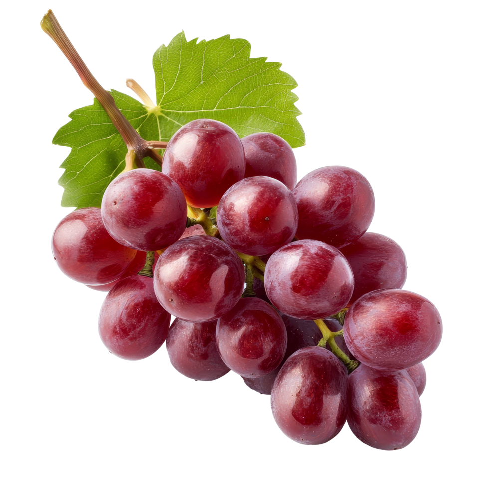 Fresh ripe red grapes on a stem with green leaves against a transparent background in natural lighting, Ripe red grape isolated on transparent background png