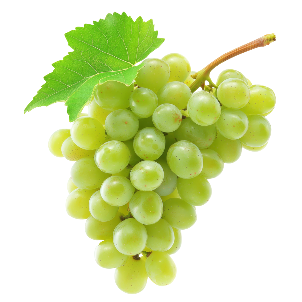 Fresh green grapes with leaves isolated on a transparent background showcasing their natural shine and texture, Green grape isolated on transparent background png