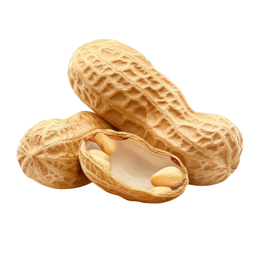Peeled peanuts on a clean background showcasing their natural texture and shape for culinary uses, peeled peanuts isolated png