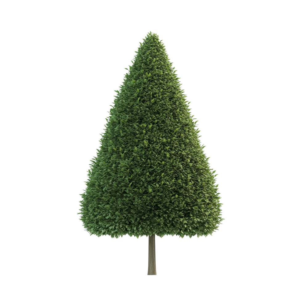 A flat isolated cone shaped tree on a transparent background showcasing a vibrant color, Cone shape tree flat 3d isolated on transparent background png