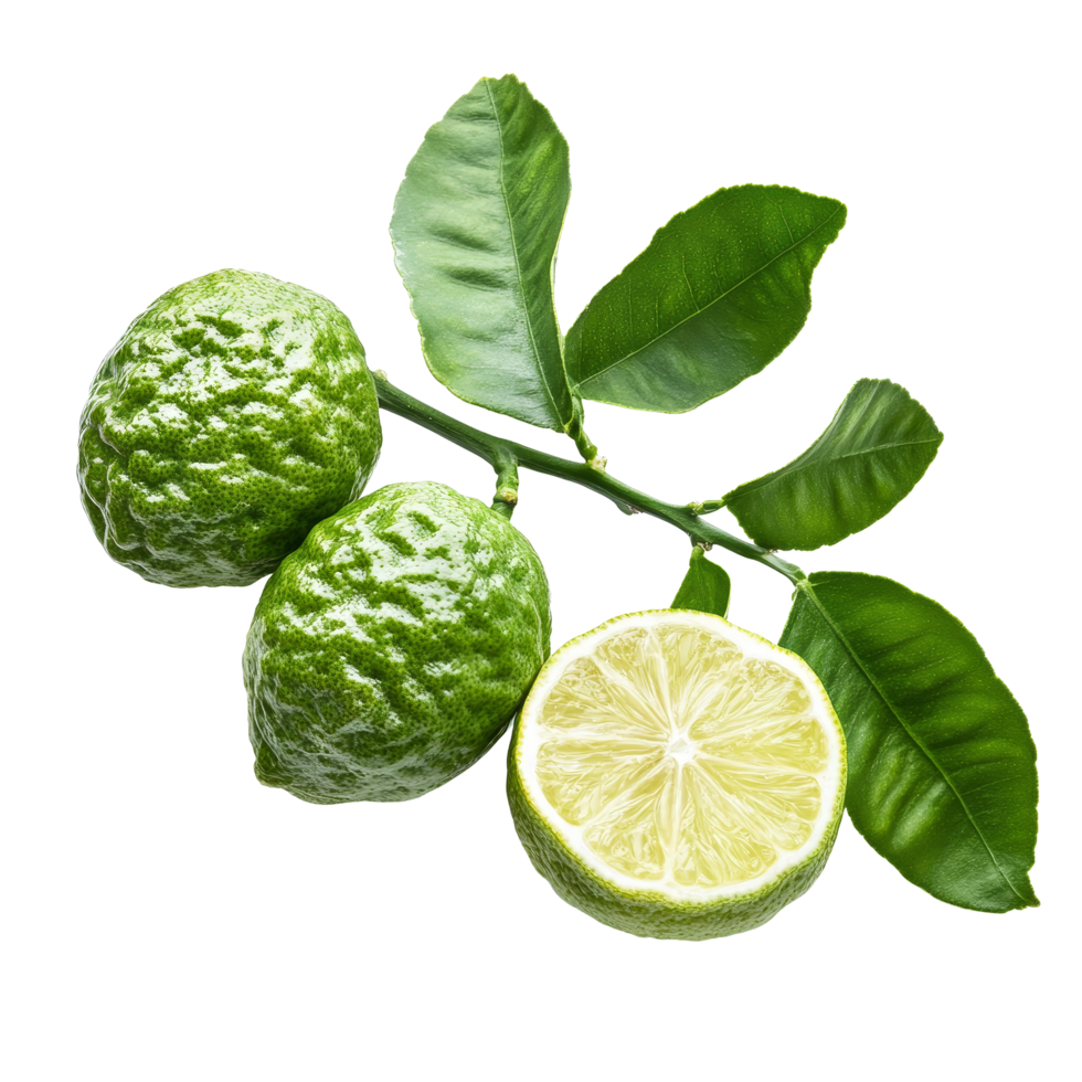 Bergamot citrus fruit with leaves on a transparent background showcasing its unique texture and color, bergamot on transparent background png