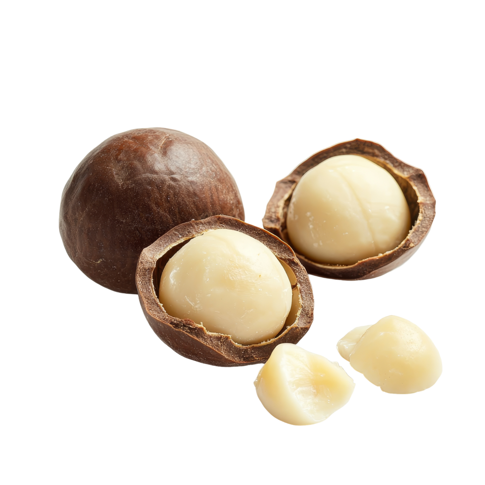 Peeled macadamia nuts displayed on a transparent background with shells partially open revealing the nut inside, Peeled macadamia nut on transparent background png