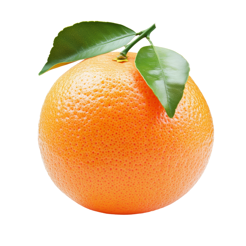 Freshly picked pink grapefruit with vibrant leaves isolated on a clean transparent background for healthy eating inspiration, pink orange or grapefruit with leaf isolated on transparent background png