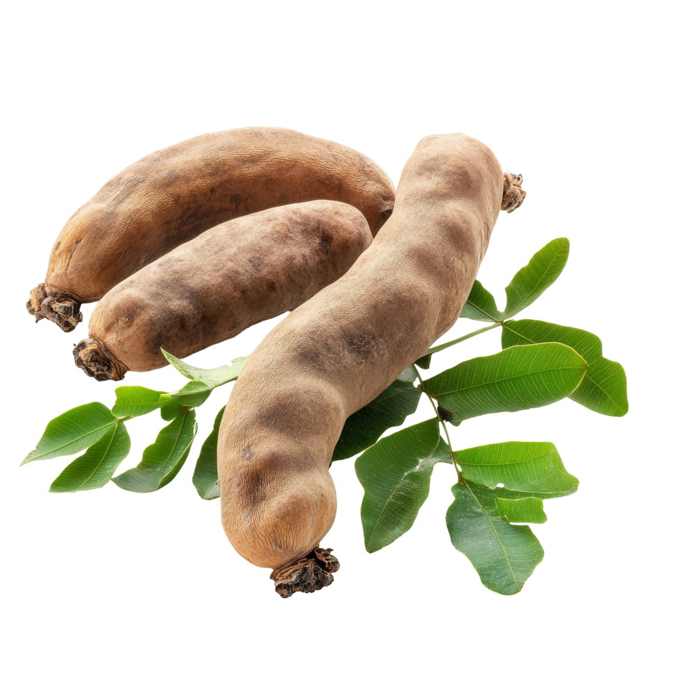 Fresh tamarind pods with green leaves isolated on a clean transparent background for culinary and nutritional use, tamarind isolated on transparent background png