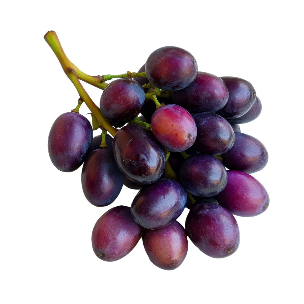 Fresh Burmese grapes arranged on a clean transparent background highlighting their rich color and texture, Burmese grape on transparent background background png